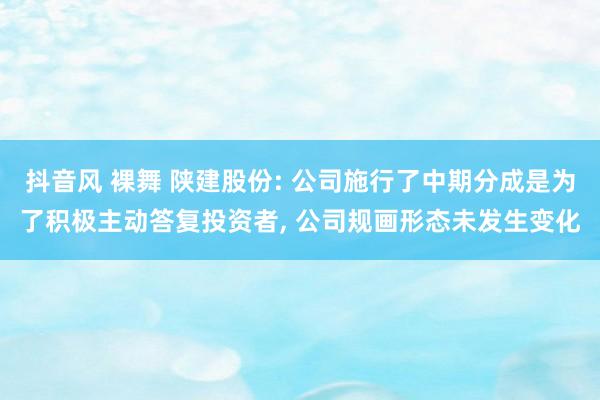 抖音风 裸舞 陕建股份: 公司施行了中期分成是为了积极主动答复投资者, 公司规画形态未发生变化