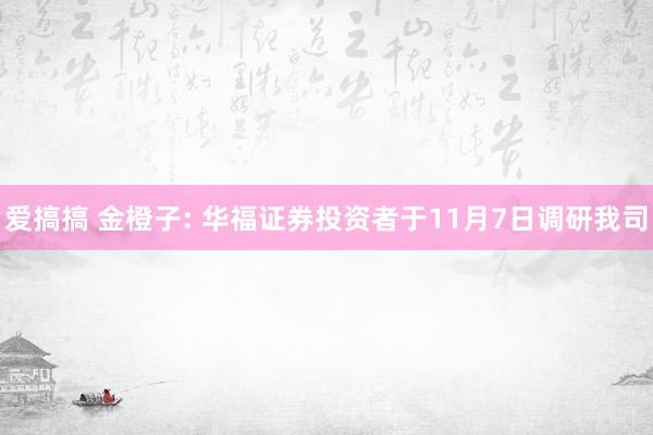 爱搞搞 金橙子: 华福证券投资者于11月7日调研我司