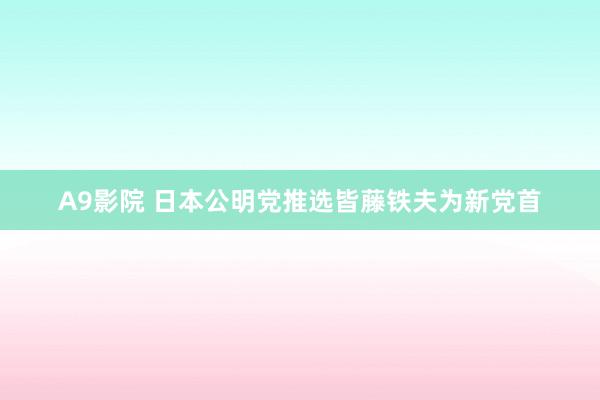 A9影院 日本公明党推选皆藤铁夫为新党首